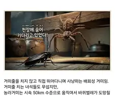 시골집에 오히려 바퀴벌레가 없는 이유