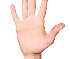 오밤 중 무서운 이야기