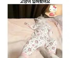 작아서 못 입게 된 아기옷 활용법.jpg