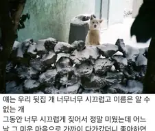 가까이 오라고 짖은거였어 그렇게 맨날...