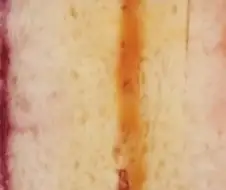프리코네) 나는 씹덕드립 벽 느낀게 이거였는데