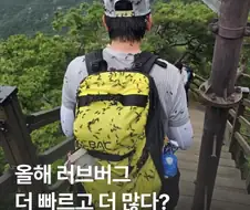 러브버그 더 빨리, 더 많이