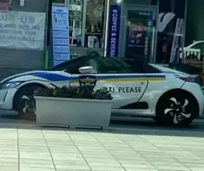 짝퉁 단속