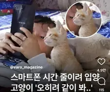 폰 좀 그만하라고 고양이 입양