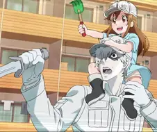 세포가 주인공인 만화영화.jpg