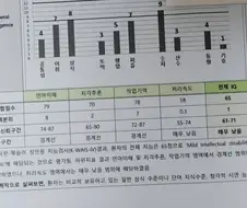 아이온2)성역에서 욕쳐먹고 지능검사 받아보라길래