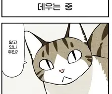 말하는 고양이.manhwa