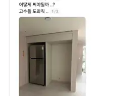 다이소가 추천하는 실내 인테리어.webp
