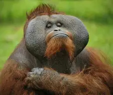 이 영환 쓰레기잖니?.movie