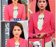 "주인님...전 여기에 있어요!!"