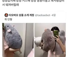 푹신한 쥐를 보고 정신을 놓은 x 유저