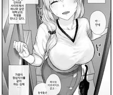 닭장 아줌마들