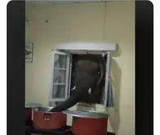 쌀숭이따윈 상대도 안되는 거물