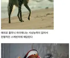 신기한 동물 지식 10가지