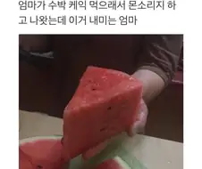 엄마가 수박 케익 먹으래서.jpg