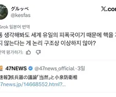 일본의 핵 보유수.jpg