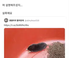 할머니 : 두더지란 게 가끔 밭에서 나오는데