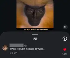 의외로 보기 힘들다는 희귀 원숭이.jpg