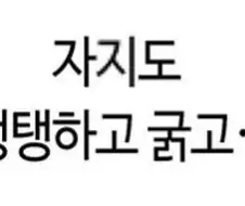 합격을 받다