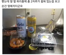 미국 시골 출장 온 후기.jpg