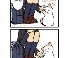 고양이가 말하는.manhwa