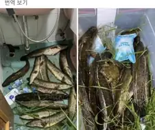 한국 거주 베트남인들이 하고 다녔던 짓들.jpg