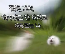 빨리 집에 가야 하는 이유