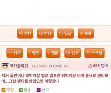 돌핀팬츠 입을때 ㅅㅇ 입냐?.만화