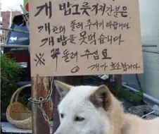 개가 부탁합니다...
