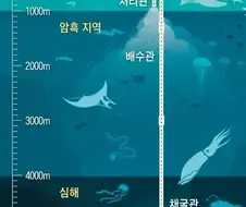 수중에 1억원이 떨어졌습니다.