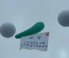 맥도날드의 거대한 고추