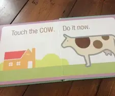 소를 만져보아요