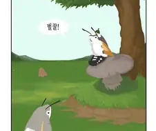 귀여운 박각시 투후투후