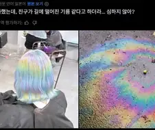 머리염색 이쁘게 잘된듯