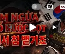 베트남 유튜버가 원인은 안 중요하다고 여론전 하나보네