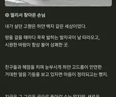 트릭컬)이 게임 역사상 제일 쓸모없었던 떡밥 추측