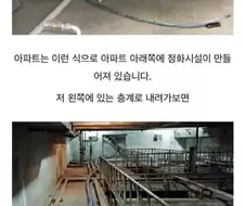 "우리가 싼 똥들은 어디로 가는가" .jpg