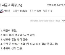 찐 시골의 특징.