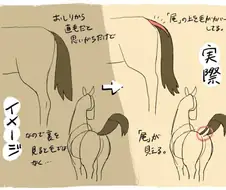[말딸] 말딸의 꼬리 구조