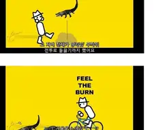 사람 열받게 만드는 포켓몬 세계관의 여자 관장