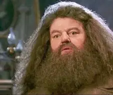 해리포터)볼드모트가 가장 먼저 영입했어야 했던 새끼