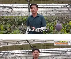 공판장에는 납품 안한다는 사장님.jpg