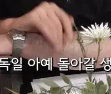 독일로 못돌아가는 이유