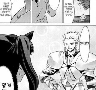 [fate] 뒤죽박죽 성배전쟁.manhwa