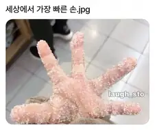 세상에서 가장 빠른 손