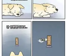 집에 혼자 남겨진 댕댕이 만화