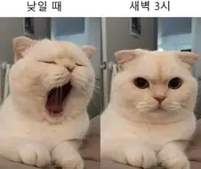 맨날 피곤하다는 사람들 특징