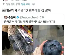 포켓몬 체력 10 회복