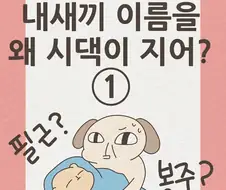 24년생 박필근.manhwa