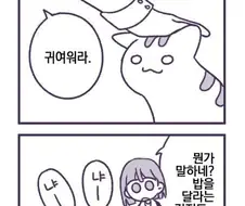 고양이가 인류 몰살시킬 계획 짜는 만화.toon